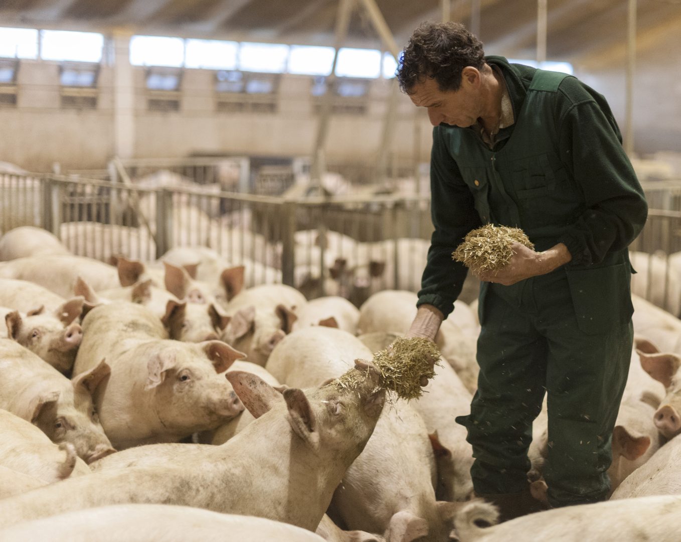 Vierkantsverwaarding met Heyde Hoeve