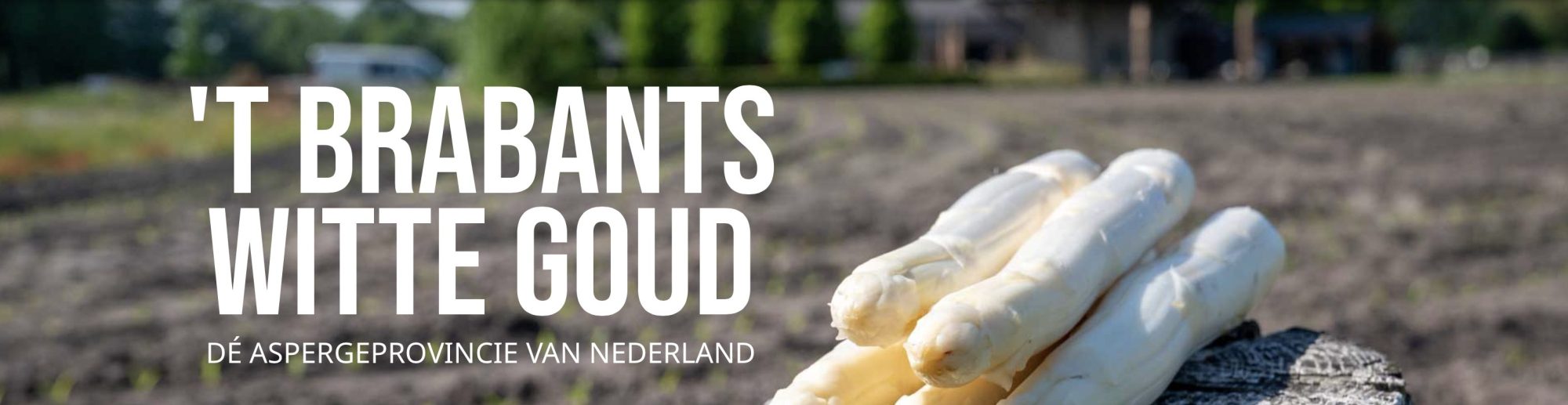 De lekkerste Brabantse aspergeham komt nog steeds uit Nuenen! 